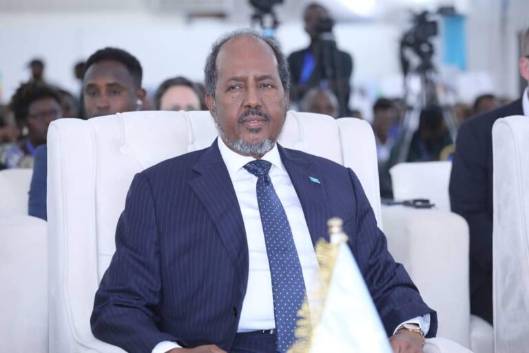 Somalia’s Internal and External Challenges and Strategies to Safeguard