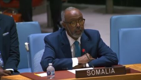 Somalia’s Path to Progress.