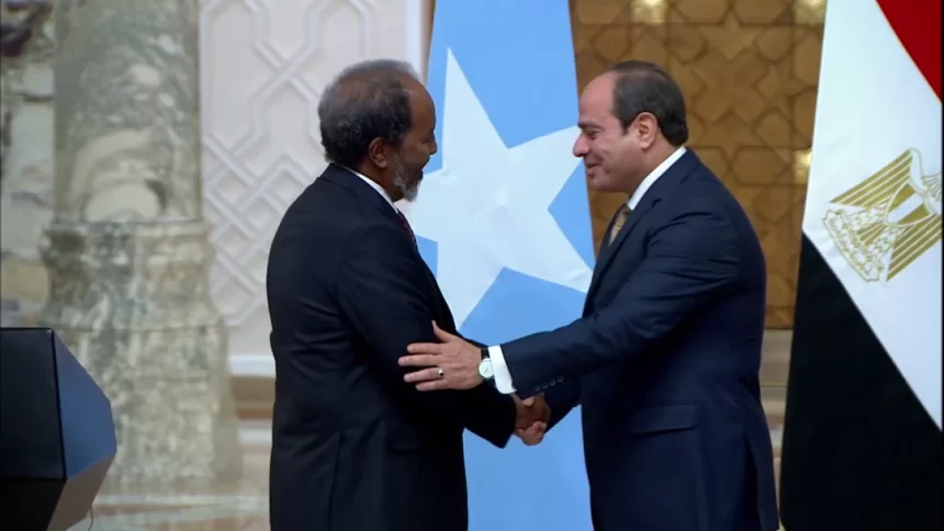 Somali Cabinet Approves Defense Agreement with Egypt