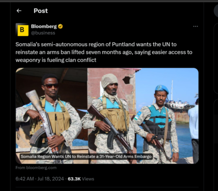 Bias in Reporting: Exposing the Clan-Driven Narratives in Somali Politics