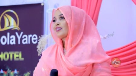 Another Human Rights Violation: The Case of Mrs. Safia Tusmo