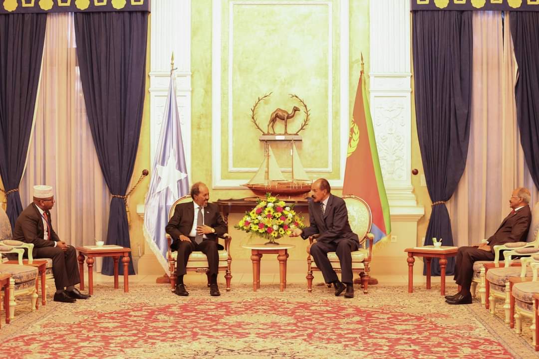 Egypt and Somalia’s Strategic Partnership Towards Regional Stability