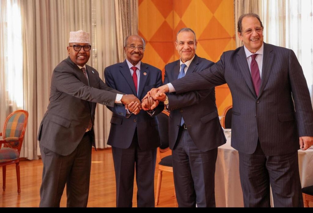 Egypt and Somalia’s Strategic Partnership