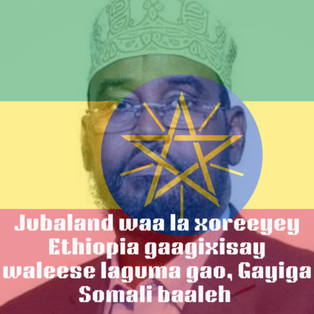 Somali and Foreign Intelligence Uncover Communication Between Ahmed Madobe Militia Leader and Al-Shabaab Leader