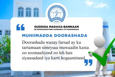 Somalia Takes Historic Step Toward Democracy Somalia Takes Historic Step Toward Democracy
