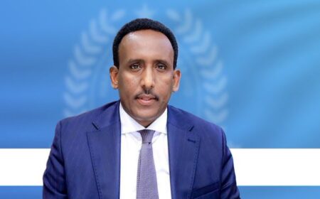 Key Achievements of the Directorate of Immigration and Citizenship (HSJ)