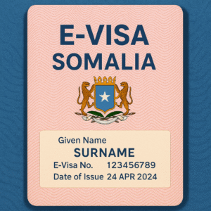 Somalia’s E-Visa System Under Scrutiny