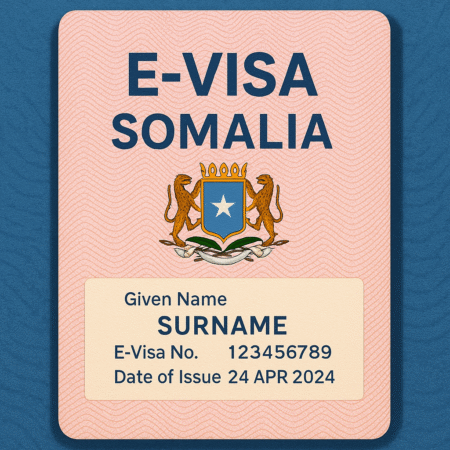 Somalia’s E-Visa System Under Scrutiny