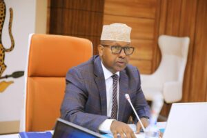 Somalia’s E-Visa System Brings Major Improvements to National Security