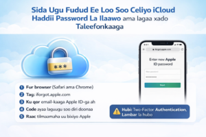 Sida Ugu Fudud Ee Loo Soo Celiyo ICloud Haddii Password La Ilaawo ama lagaa xado Taleefoonkaaga