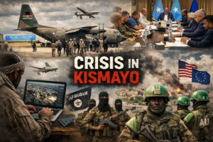 Security & Digital Analysis Report – Somali Cyber Defence