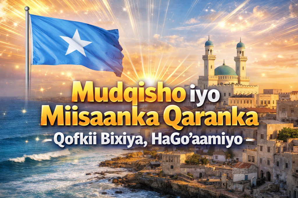 Muqdisho iyo Miisaanka Qaranka, Qofkii Bixiya, HaGo’aamiyo