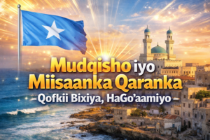 Muqdisho iyo Miisaanka Qaranka, Qofkii Bixiya, HaGo’aamiyo