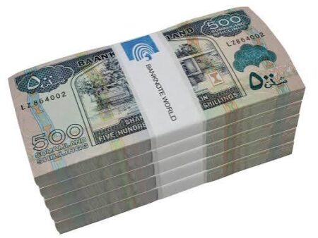 Somaliland Shilling Under Pressure as Fewer People Use It. Somaliland Shilling Under Pressure as Fewer People Use It