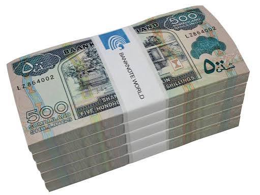 Somaliland Shilling Under Pressure as Fewer People Use It. 1 Somaliland Shilling Under Pressure as Fewer People Use It